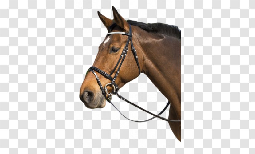 Halter Horse Bridle Equestrian Filet - Like Mammal Transparent PNG