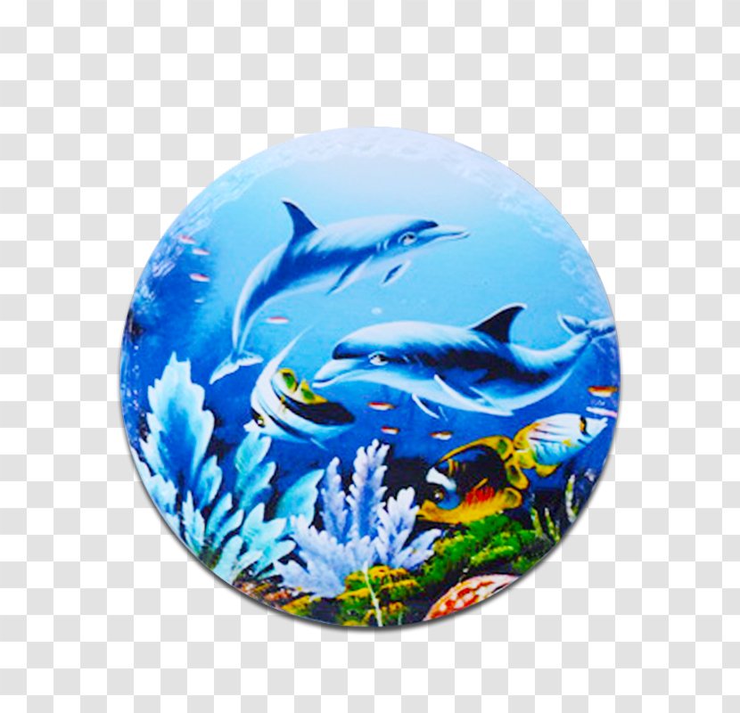 Dolphin Marine Biology CrossFire Fish - Crossfire - Ceramic Tableware Transparent PNG