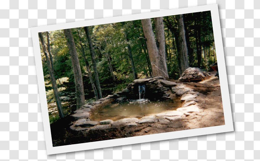 Koi Pond Water Garden Hopkins - Waterfall Scenery Transparent PNG