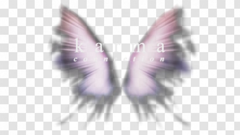 Ear - Pollinator - Butterfly Transparent PNG