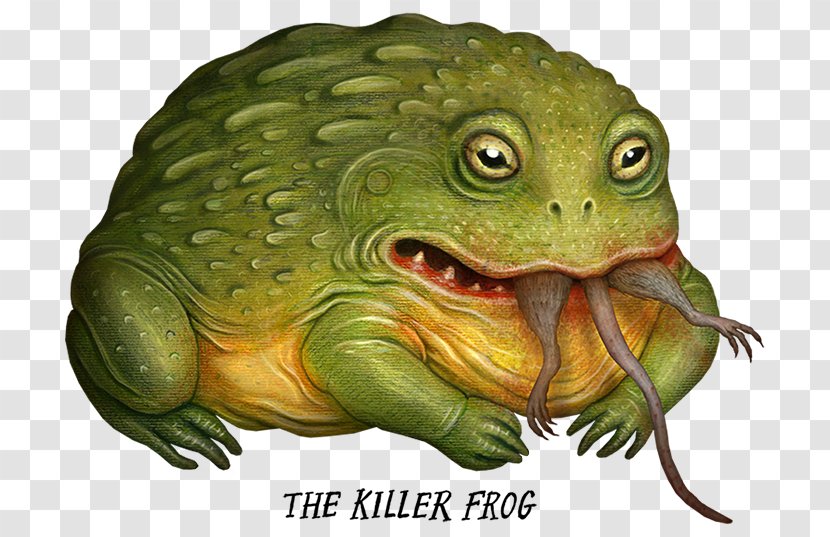 Goliath Frog Amphibian Art - Ranidae - Watercolor Pattern Cards Transparent PNG