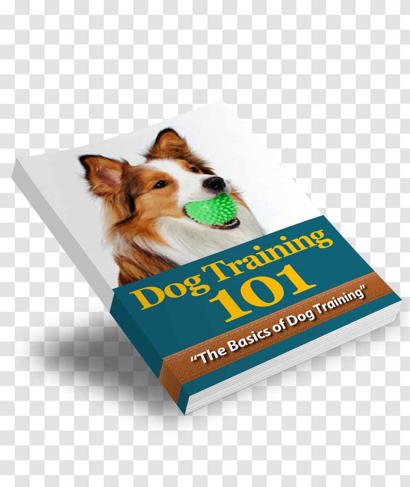 Puppy Dog Training Collar Obedience - Pet Transparent PNG