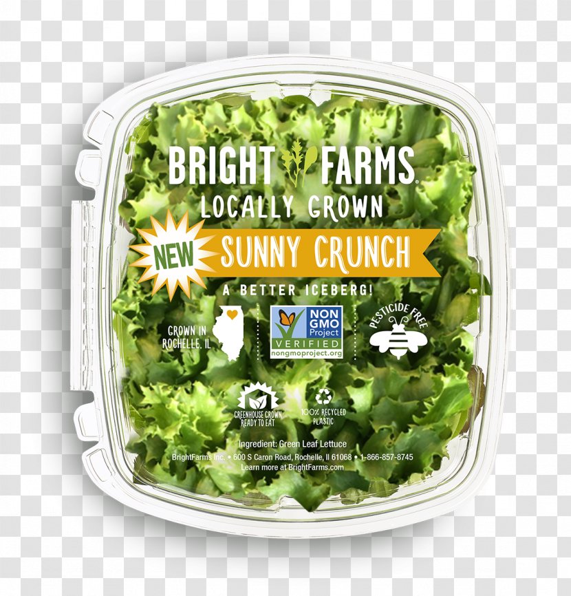 Lettuce BrightFarms Agriculture - Hydroponics - Fresh Salad Transparent PNG