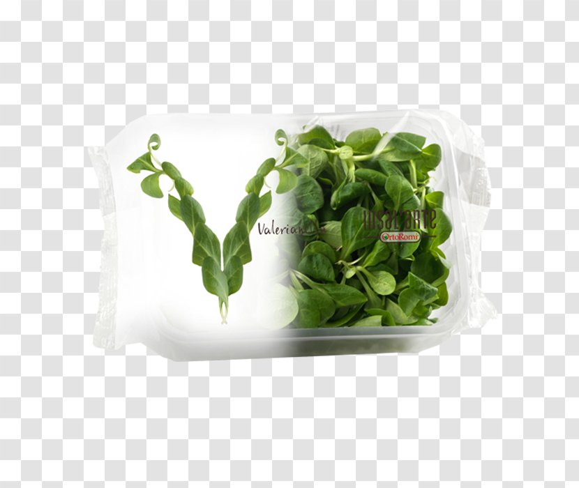 Food Salad Ice Cream Side Dish - Leaf Vegetable Transparent PNG