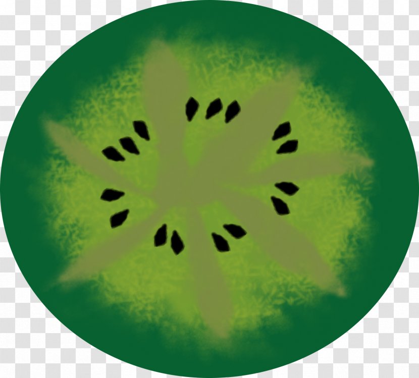 Green Circle Organism - Night Marking On Water Transparent PNG
