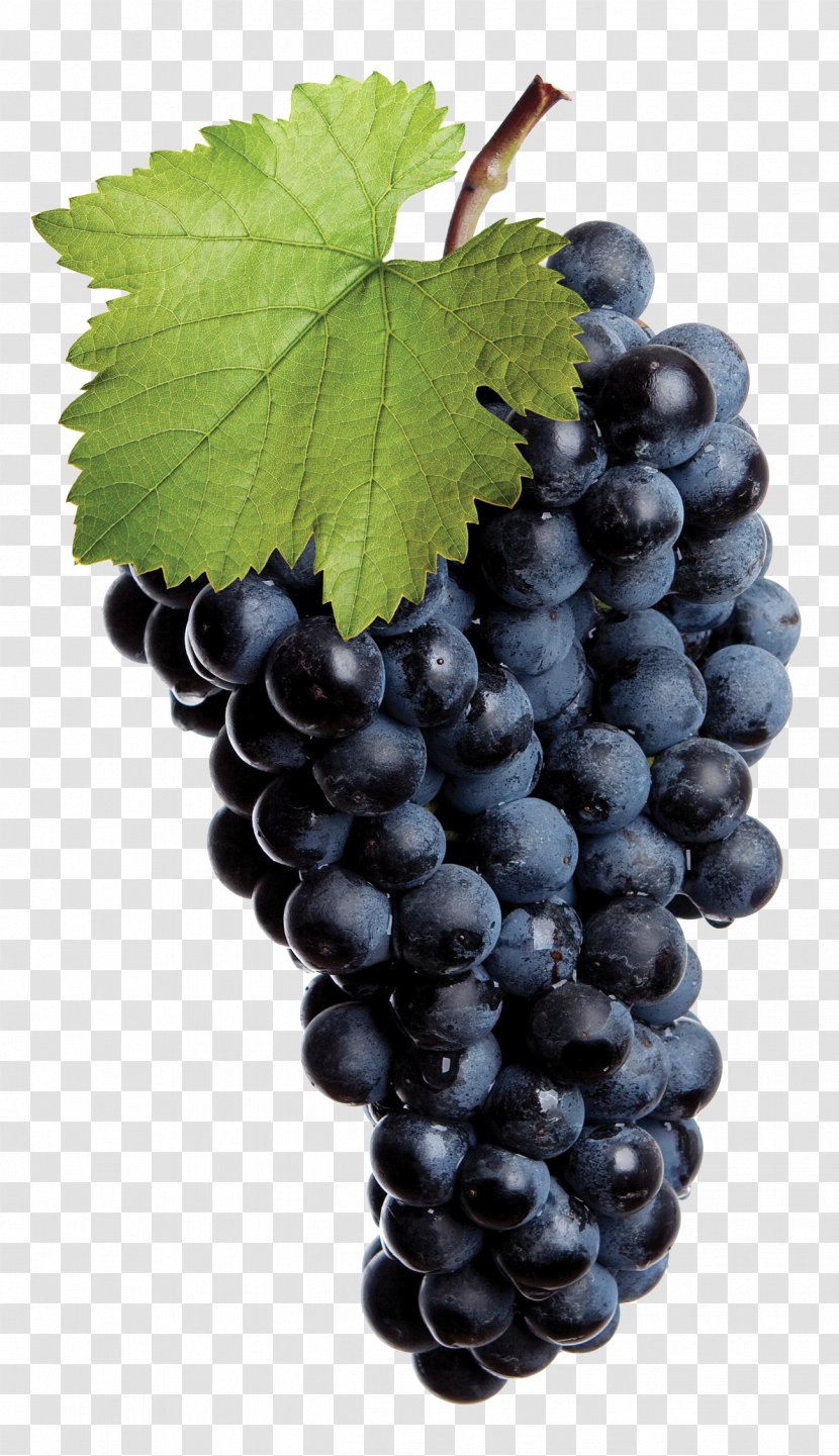 Common Grape Vine Red Wine White Isabella - Seedless Fruit - Purple Logo Transparent PNG