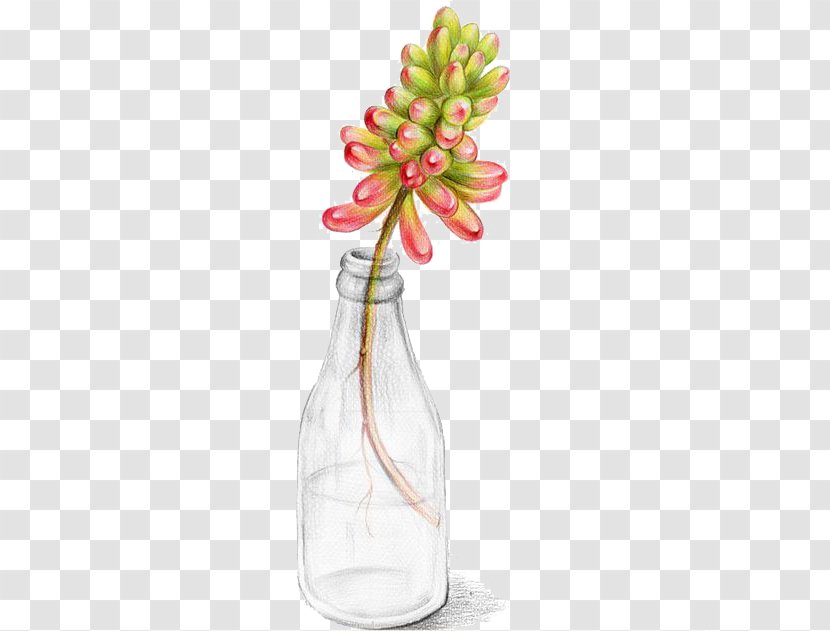 Succulent Plant Watercolor Painting Cactaceae Illustration - Soil - Bottle Fleshy Transparent PNG