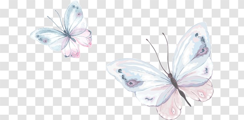 Watercolor Painting Butterfly - Invertebrate Transparent PNG