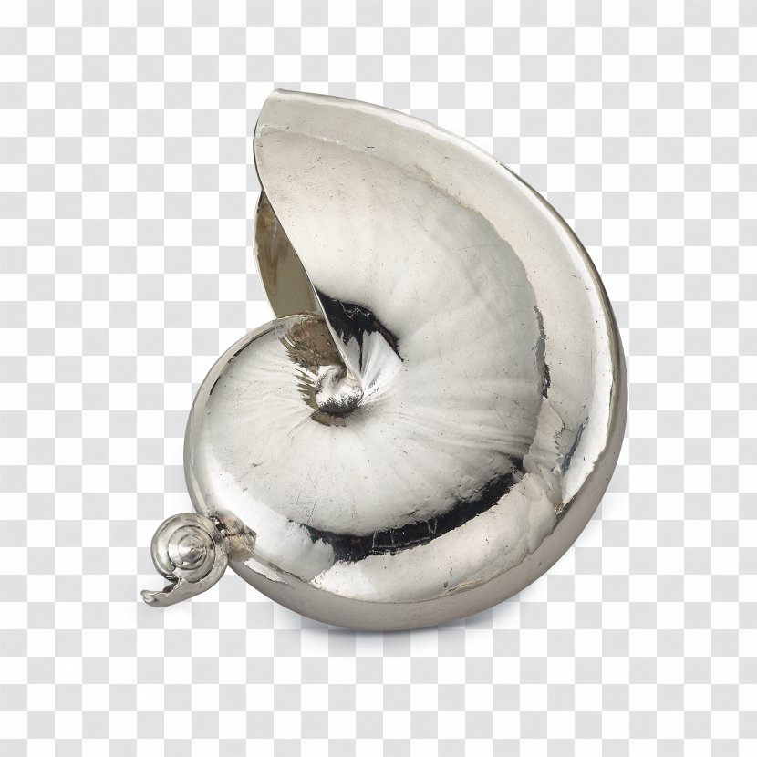 Jewellery Buccellati Silver Seashell Nautilidae - Clothing Accessories Transparent PNG