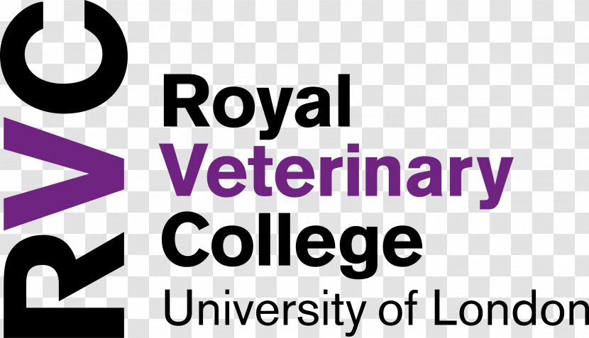 Royal Veterinary College Cummings School Of Medicine At Tufts University Veterinarian - Text Transparent PNG