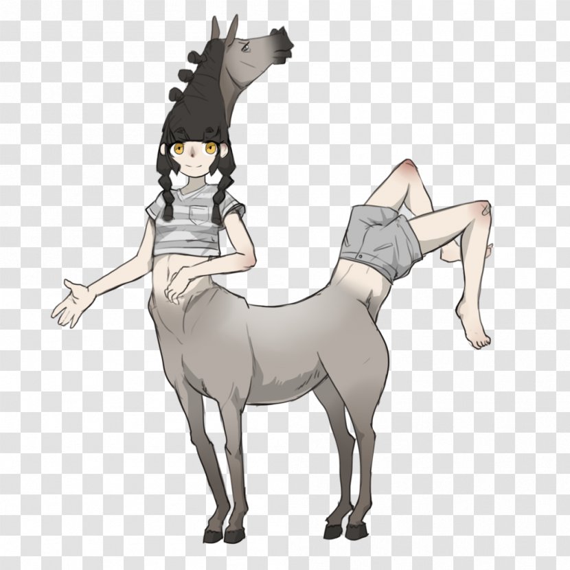 Mule DeviantArt Drawing Centaur - Art Transparent PNG