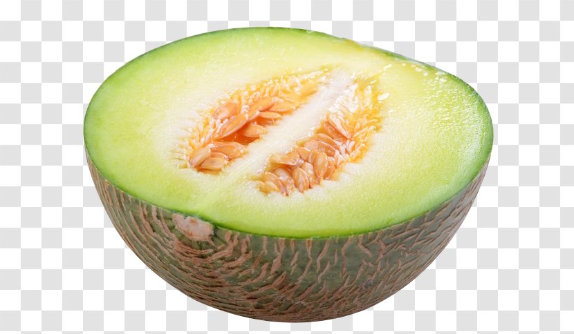 Honeydew Cantaloupe Hami Melon Galia Watermelon - Vegetable - Half Transparent PNG