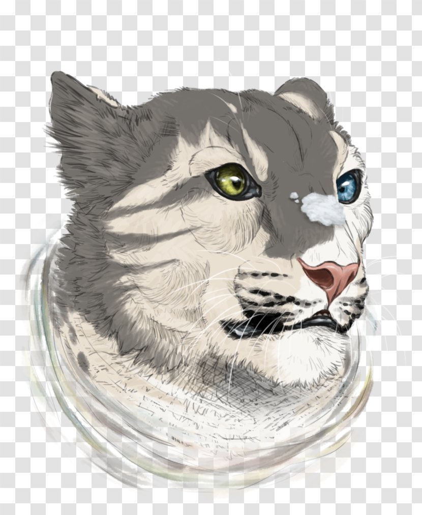 Whiskers Cat Drawing Fur - Carnivoran Transparent PNG