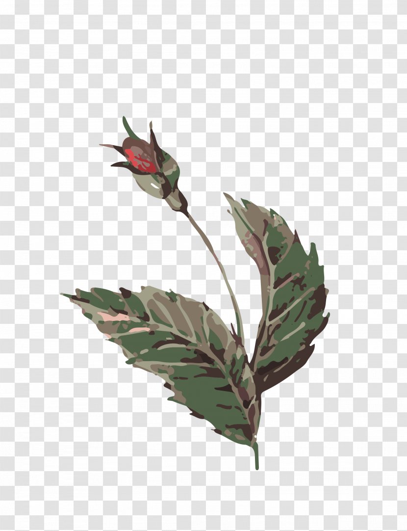 Watercolor Painting - Leaf - Bud Transparent PNG