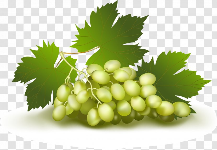 Wine Grape Fruit - Superfood - Abstract Pattern Realistic Grapes Transparent PNG