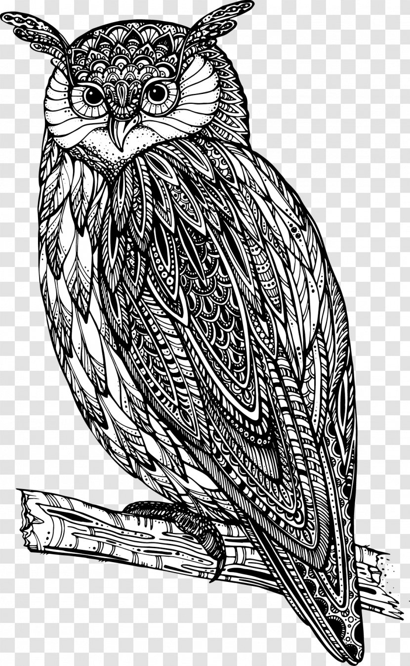 Owl Drawing Royalty-free Illustration - Shutterstock - Hand-painted Transparent PNG