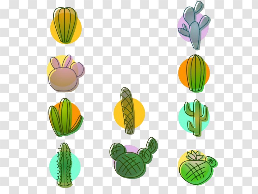 Cactaceae Euclidean Vector Plant - Drawing - Green Cactus Potted Collection Transparent PNG