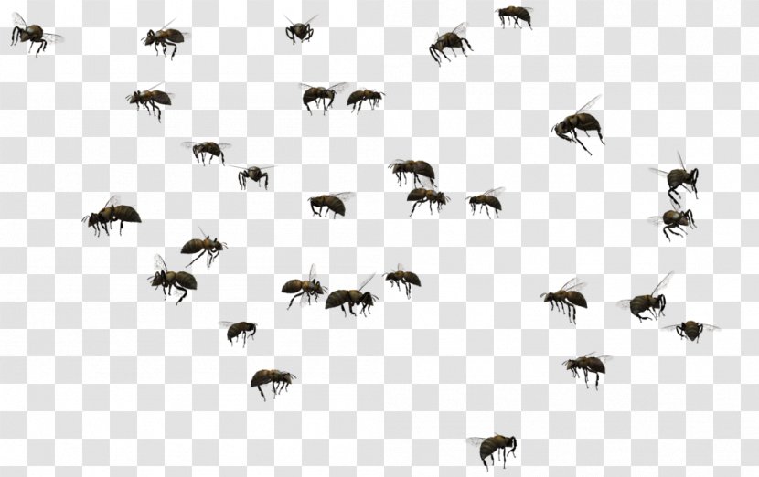 Beehive Swarming Clip Art - Swarm Behaviour - Bee Transparent PNG