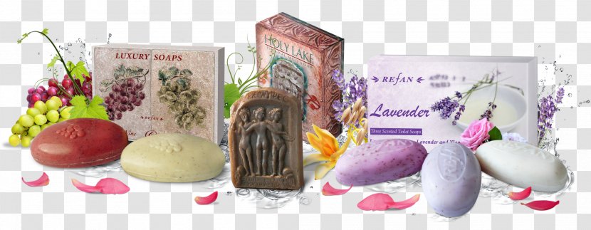 Lotion Soap Cosmetics Essential Oil Refan Bulgaria Ltd. - Cream Transparent PNG
