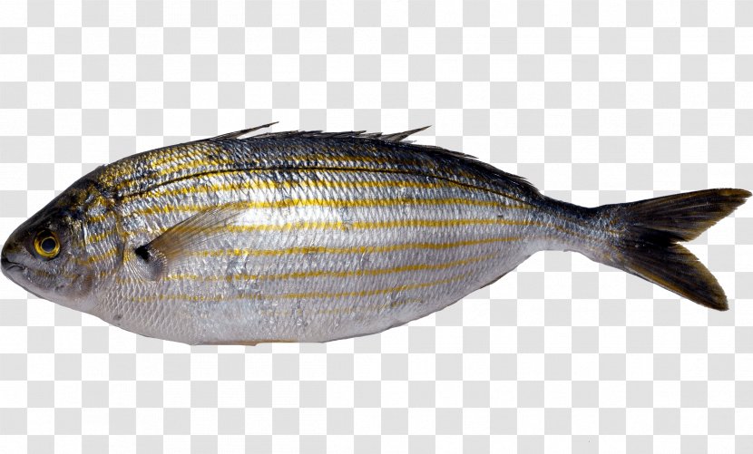 Milkfish Fish Products Oily Sole Fauna Transparent PNG