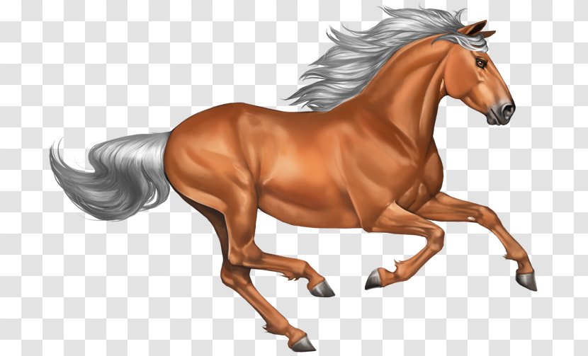 Mustang Pony Stallion - Horse Transparent PNG