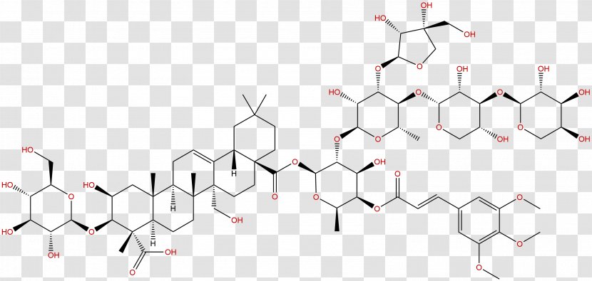 Platycodon Grandiflorus Proanthocyanidin Polygala Tenuifolia Chemistry Acetoxy Group - Tree - Phytochemicals Transparent PNG