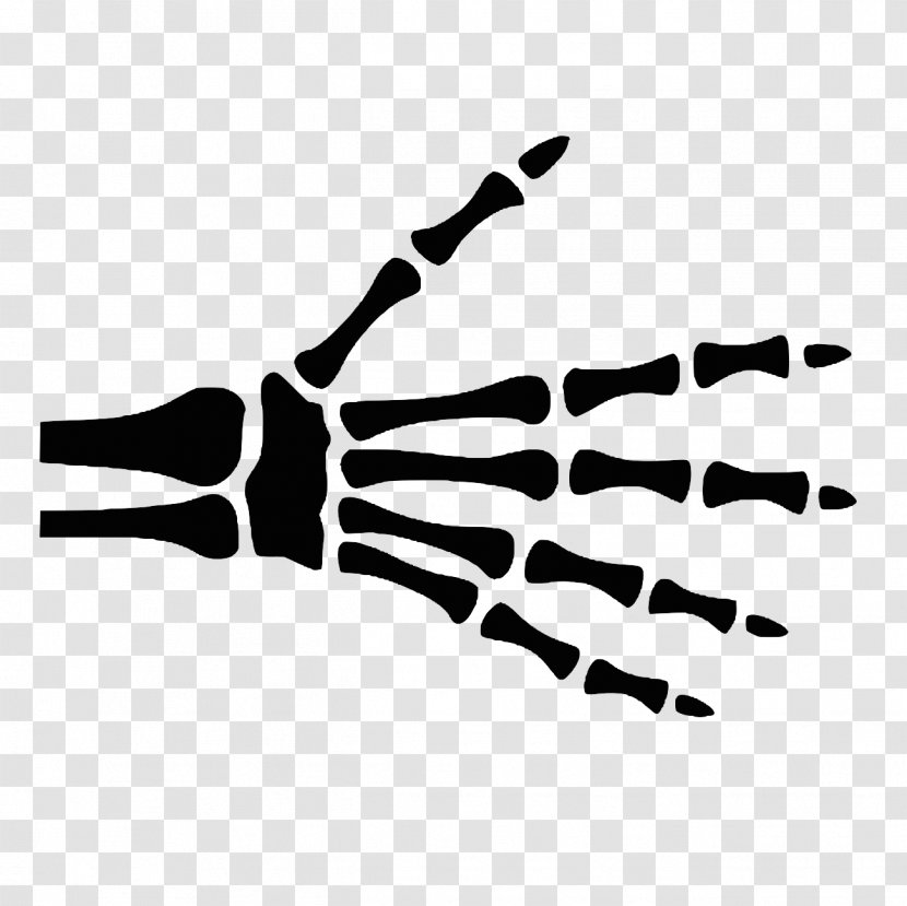 Hand Finger Radiographic Anatomy Bone - Black And White Transparent PNG