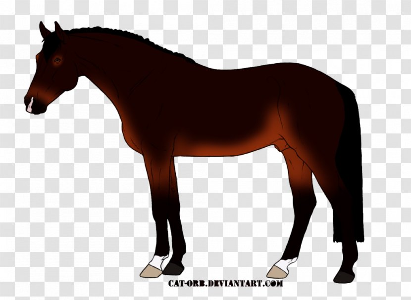 Mustang Mane Pony Stallion Foal - Horse Transparent PNG