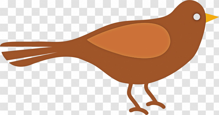 Bird Beak Robin Transparent PNG