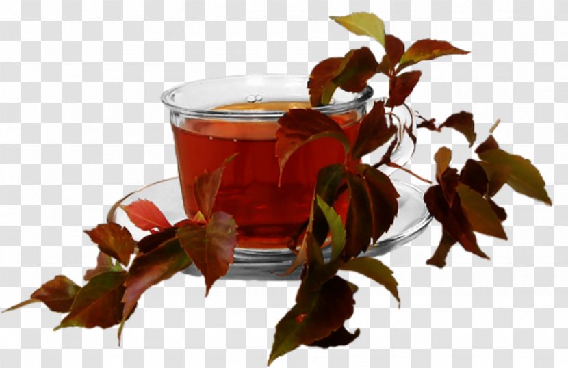 Teacup Coffee Cup Drink - Tea Transparent PNG