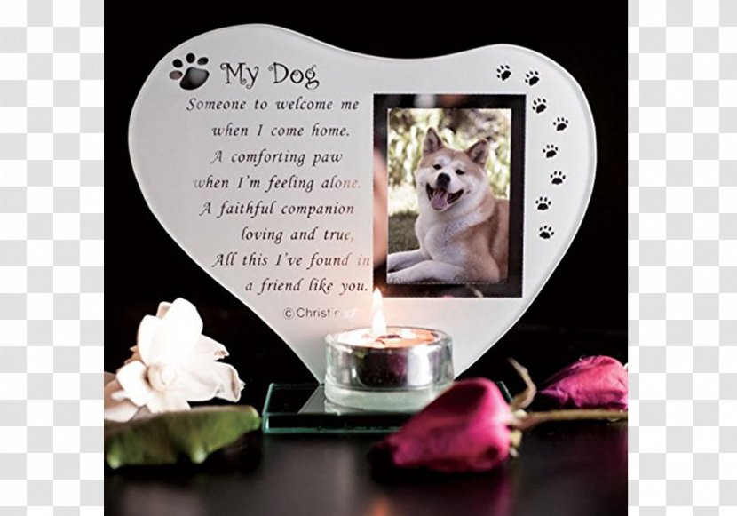 Cat Commemorative Plaque Pet Labrador Retriever Candle Transparent PNG