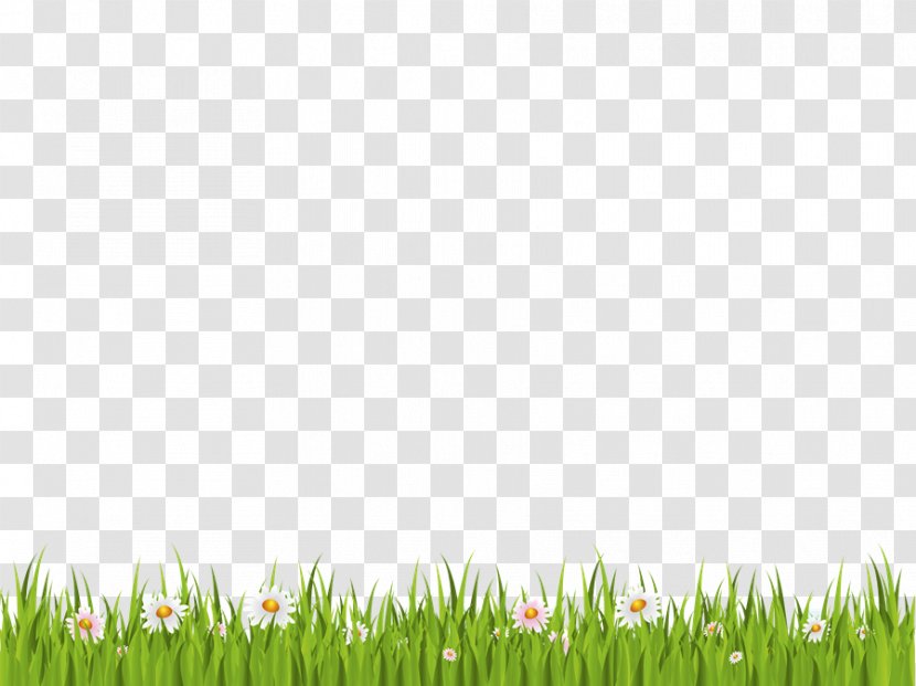 Green Grass Background - Meadow - Artificial Turf Flower Transparent PNG