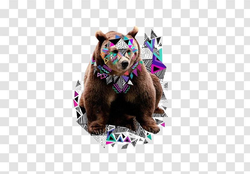 Drawing Printmaking Graphic Designer Illustration - Cartoon - Creative Animal Bear Transparent PNG