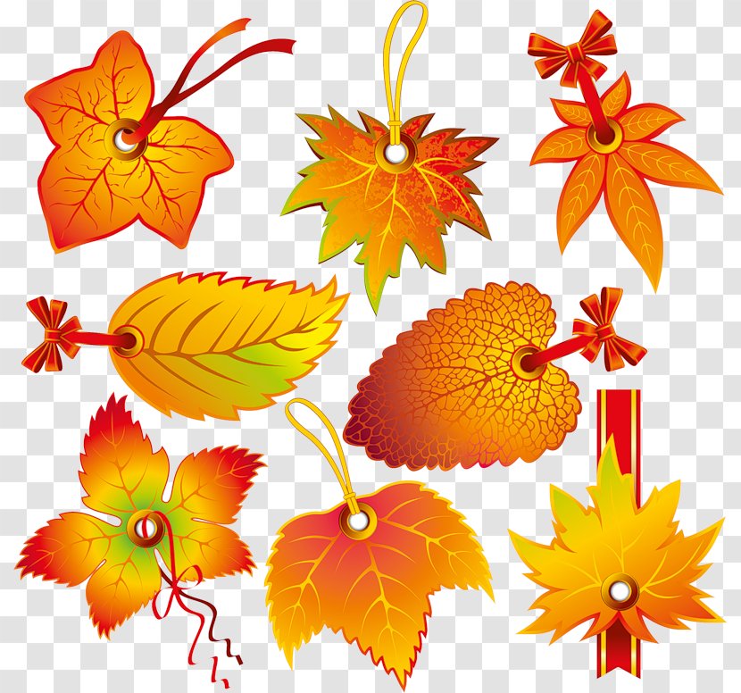 Leaf Autumn Clip Art - Color Transparent PNG