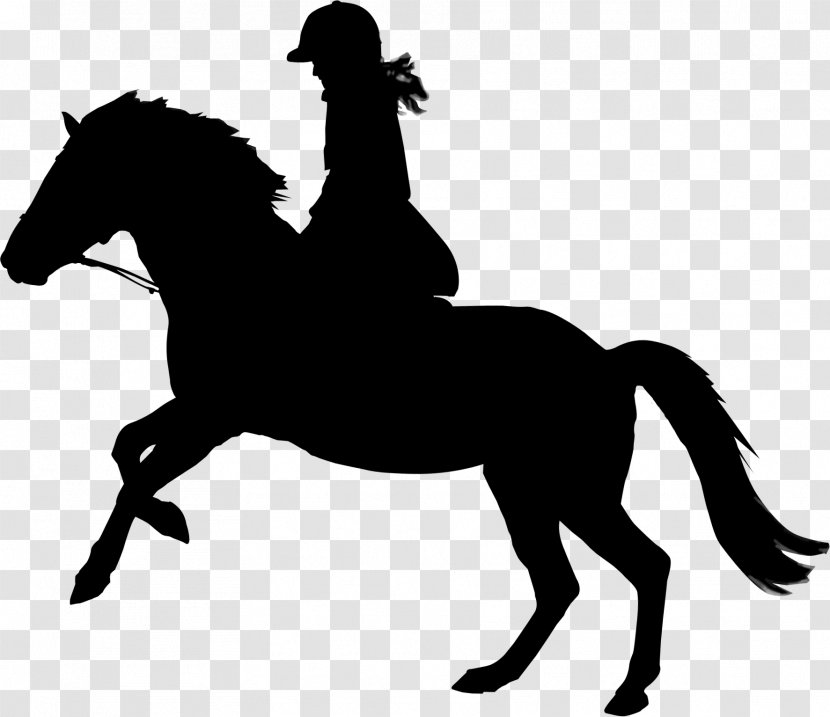 Mustang Vector Graphics English Riding Equestrian Illustration - Vertebrate - Horse Transparent PNG