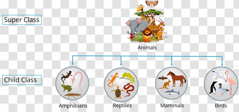 Inheritance Object-oriented Programming Class Java - Object - Oriented Querying Transparent PNG