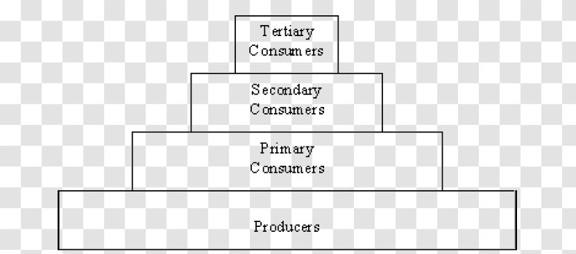 Document Line Angle Brand - Trophic Pyramid Transparent PNG