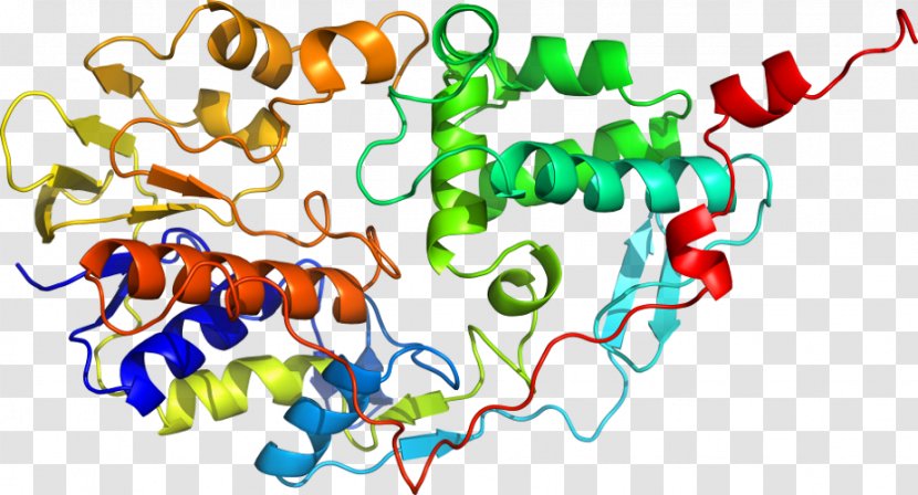 Shkola Khorarnoy Astrologii Marka Rusborna Monoamine Oxidase Moscow State University Scientist Nature - Neurotransmitter Transparent PNG