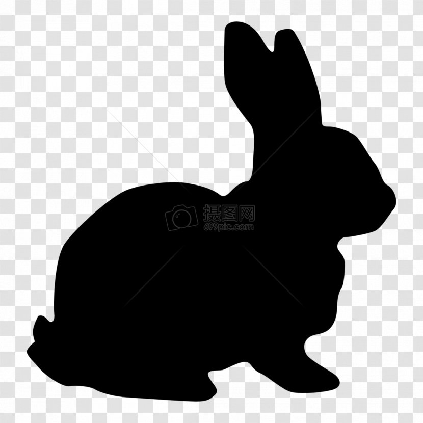 Hare Vector Graphics Clip Art Rabbit Image - Domestic Transparent PNG
