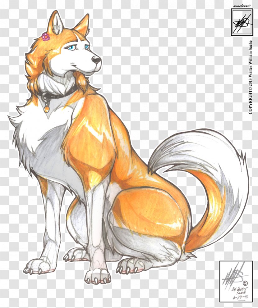 Red Fox Cat Mammal Fauna - Character Transparent PNG