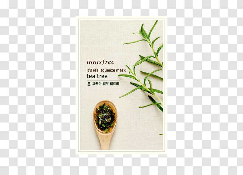 Tea Tree Oil Innisfree Mask Plant - Herbal Transparent PNG