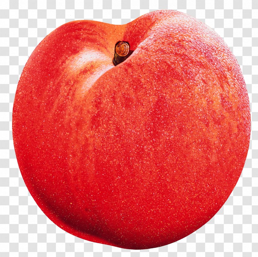 Fruit Nectarine Apple Auglis - Muskmelon - Fruits Transparent PNG