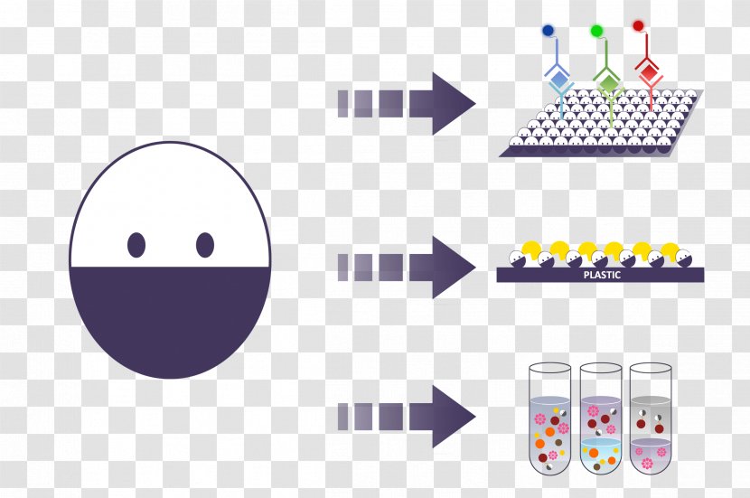 International Genetically Engineered Machine Detergent Polymer Technology DNA Extraction - Dna - Scrip Transparent PNG