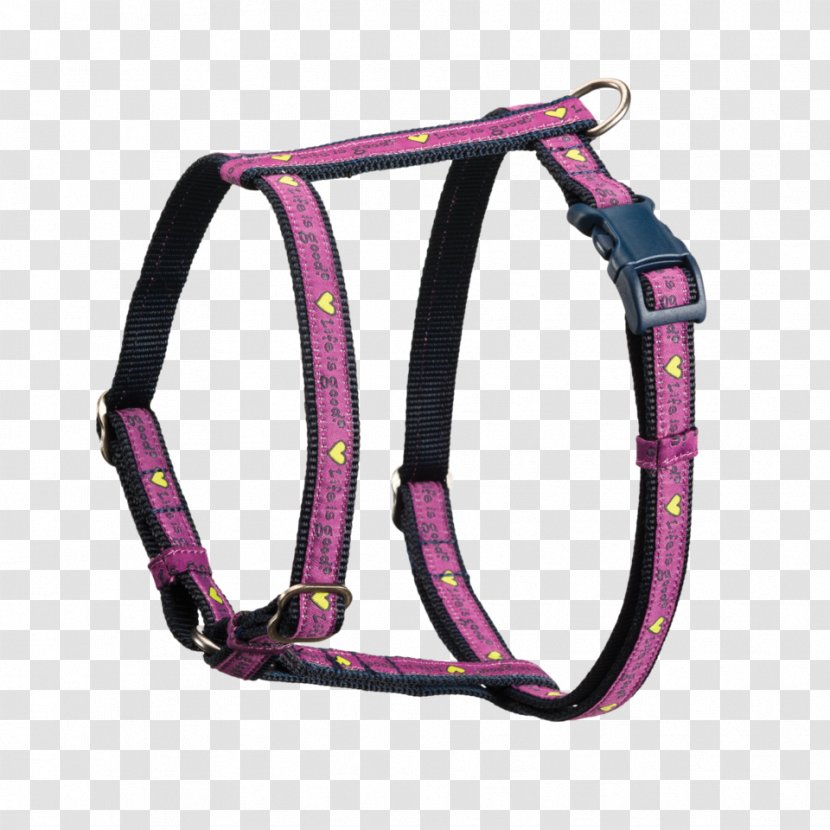 Dogs Are Not Our Whole Life, But They Make Lives Whole. Life Is Good Company - Dog Harness Transparent PNG