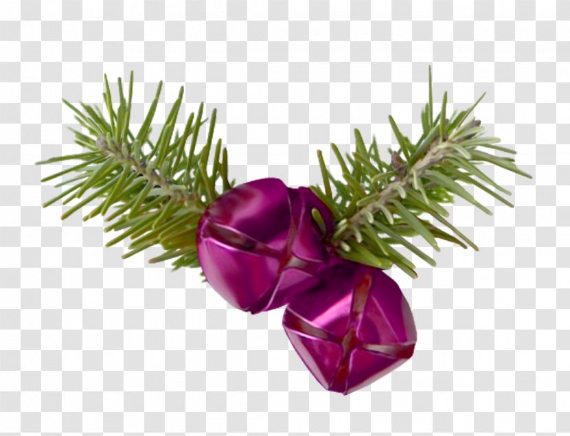 Christmas Ornament Cut Flowers Spruce Branching - Flower Transparent PNG