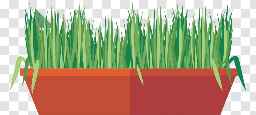 Herbaceous Plant Green - Vecteur - Vector Creative Meadow Grass Transparent PNG