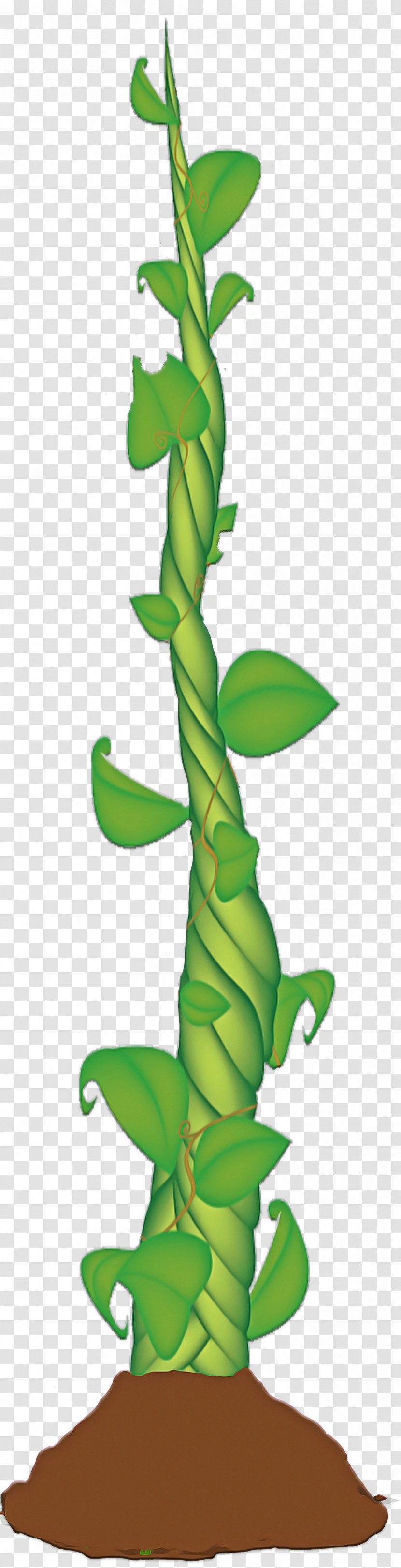 Leaf Plant Stem Cartoon Tree Plant Transparent PNG