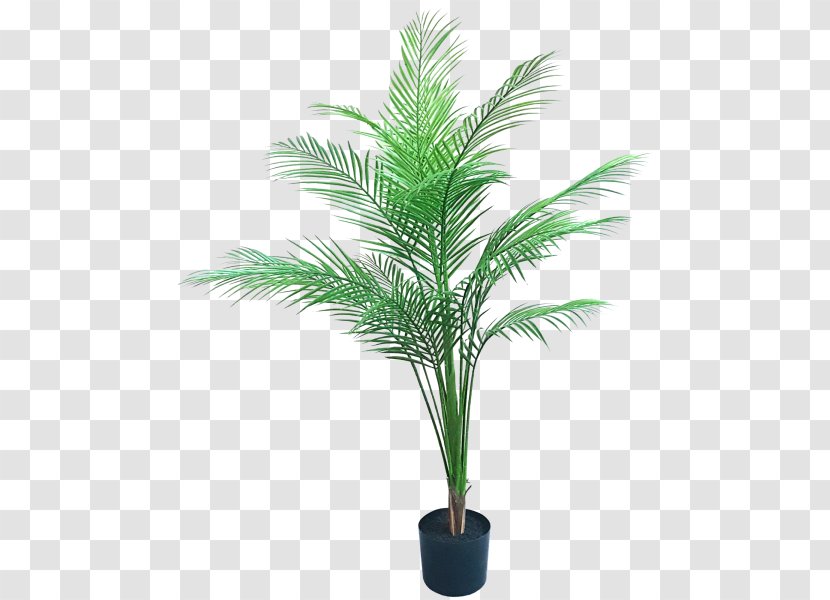 Artificial Flower Date Palm Flowerpot Plant - Elaeis - Green Leaves Potted Buckle Transparent PNG