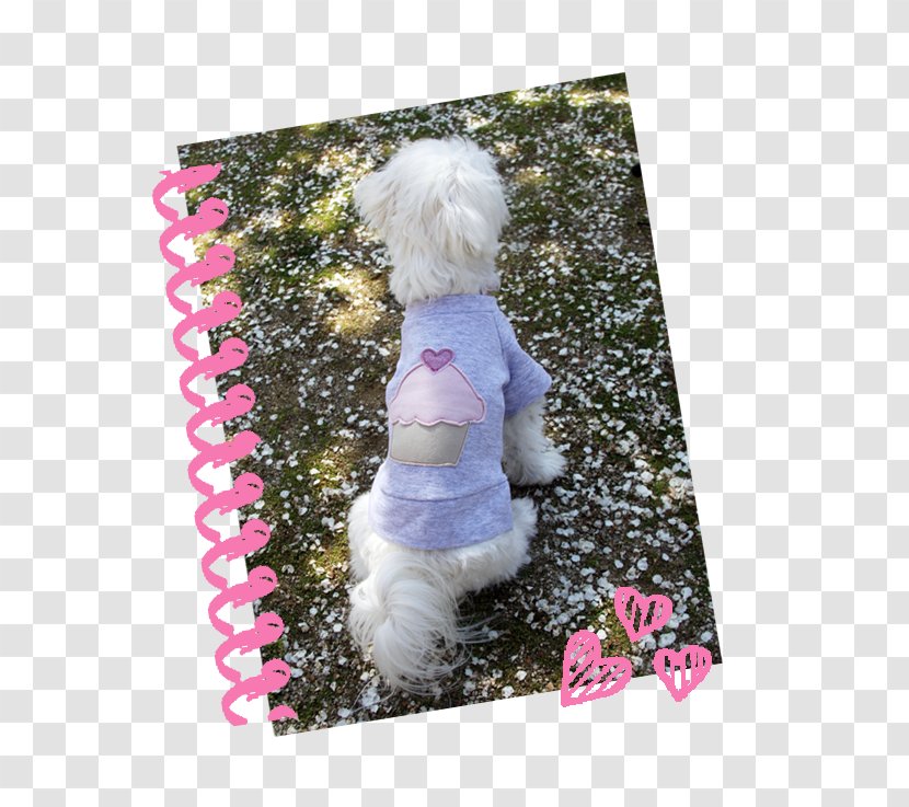 Dog Pink M Clothing - Carnivoran - Definition Transparent PNG