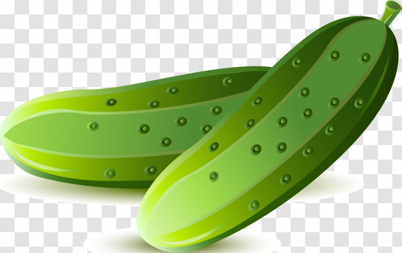 Cucumber Vegetable Pepino - Green Transparent PNG